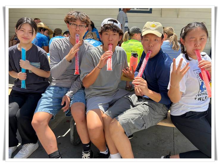 dc3f33516924db9dcf8be653259fce99_1657630405_373.jpg